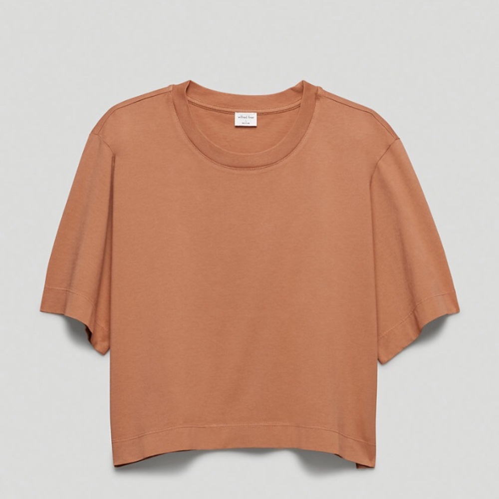 Aritzia Wilfred Free Getaway Tshirt.